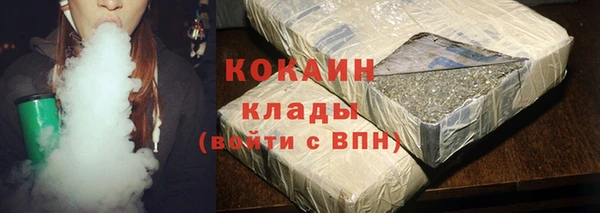 шишки Белокуриха