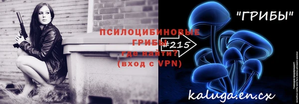 шишки Белокуриха