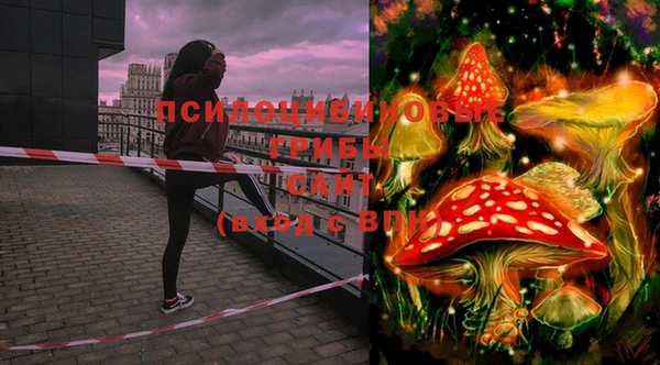 тгк Белоозёрский