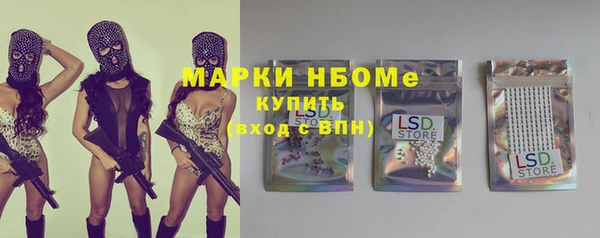 шишки Белокуриха