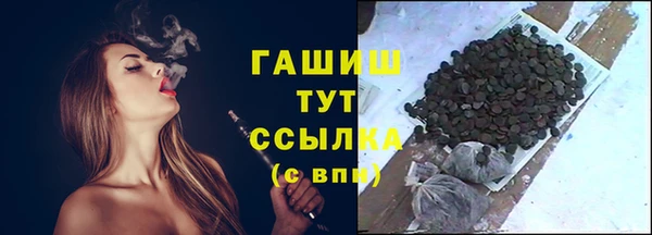 шишки Белокуриха
