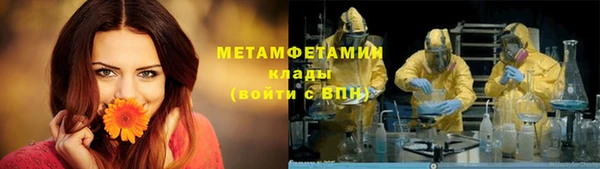 шишки Белокуриха