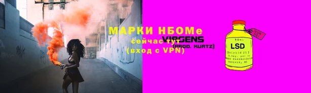 шишки Белокуриха