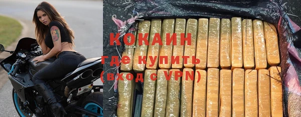 шишки Белокуриха