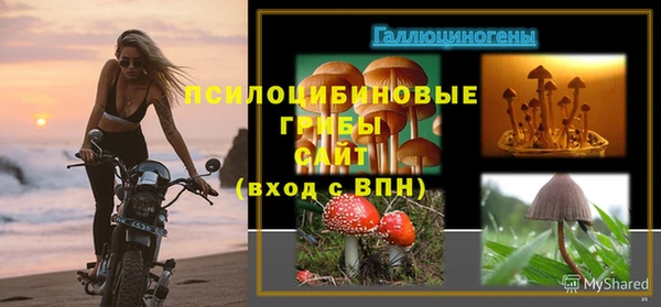 шишки Белокуриха