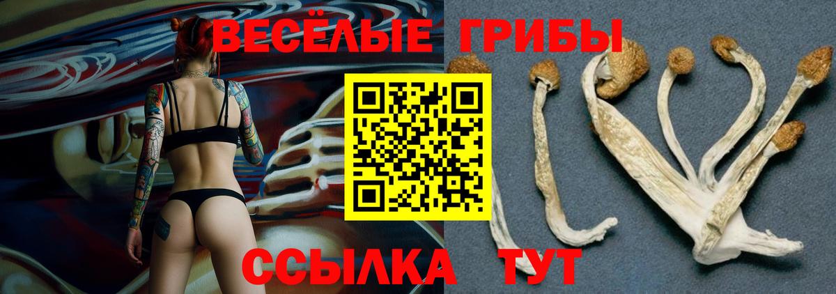 Псилоцибиновые грибы Psilocybe  Галлюциногенные грибы Magic Shrooms  наркошоп  Вход с VPN  Надым 