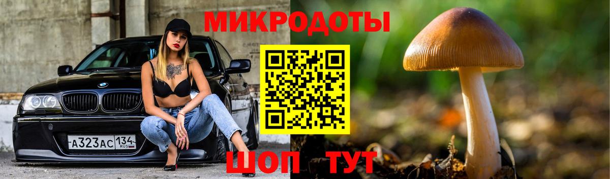 Галлюциногенные грибы MAGIC MUSHROOMS Надым